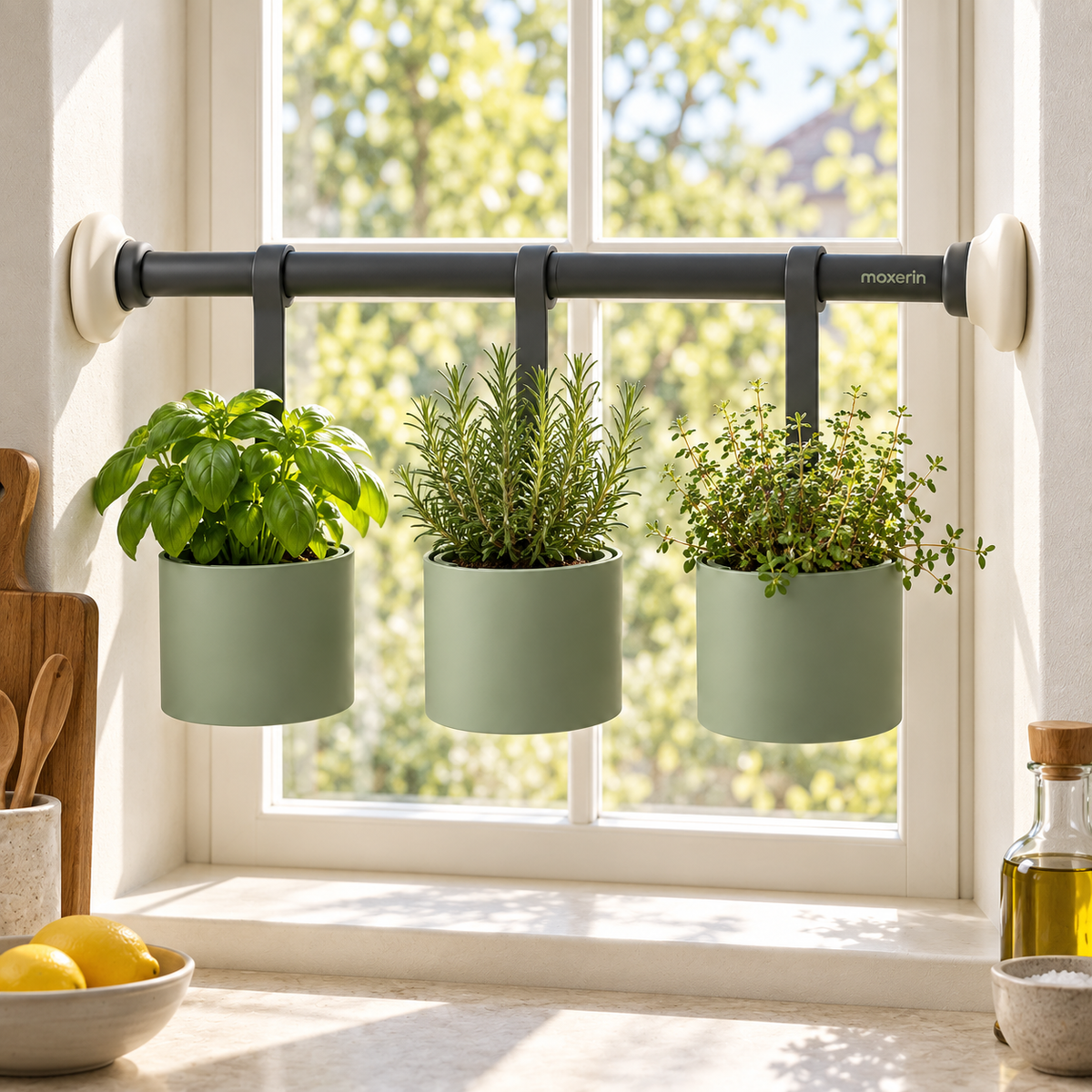 Moxerin Sillspan Window-Recess Hanging Plant Holder